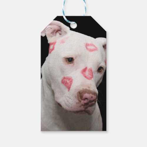 Editable Pitbull Lover Gift Tags