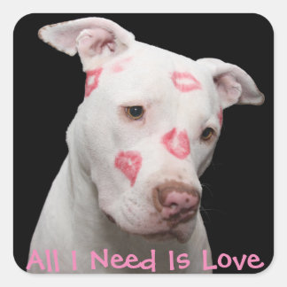 Editable Pitbull Lover Square Sticker