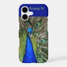 Editable Proud Peacock Blues and Greens