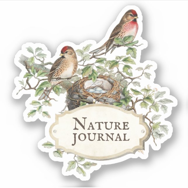 Editable Text Bird Nest Aesthetic Journal Sticker (Front)