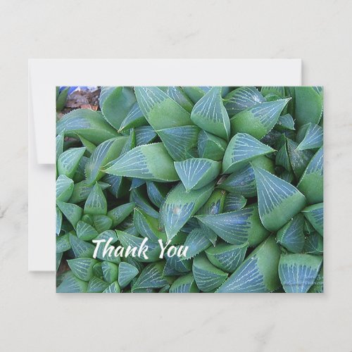 Editable Thank You Succulent Plant 425x5 Card