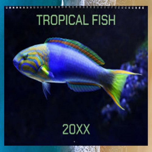 Editable Tropical Fish  Calendar
