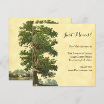 Editable Vintage Oak Tree Just Moved Square