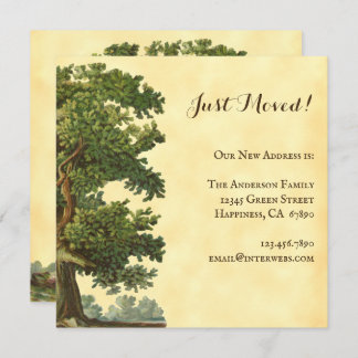 Editable Vintage Oak Tree Just Moved Square Note Card
