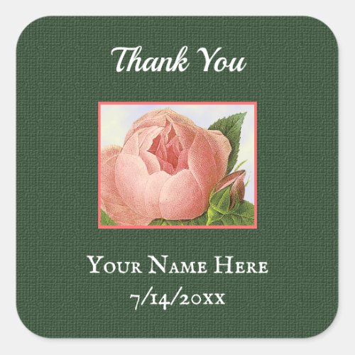 Editable Vintage Pink Cabbage Rose Thank You Square Sticker