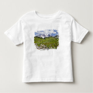 Edith Creek and wildflower meadows at Paradise Toddler T-shirt