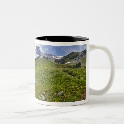 Edith Creek and wildflower meadows at Paradise Two_Tone Coffee Mug