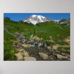 Edith Creek at Mount Rainier National Park Poster