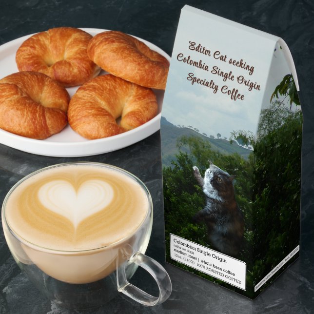 Editor Cat Seeking by RoseWrites Roasted Coffee (Breakfast)