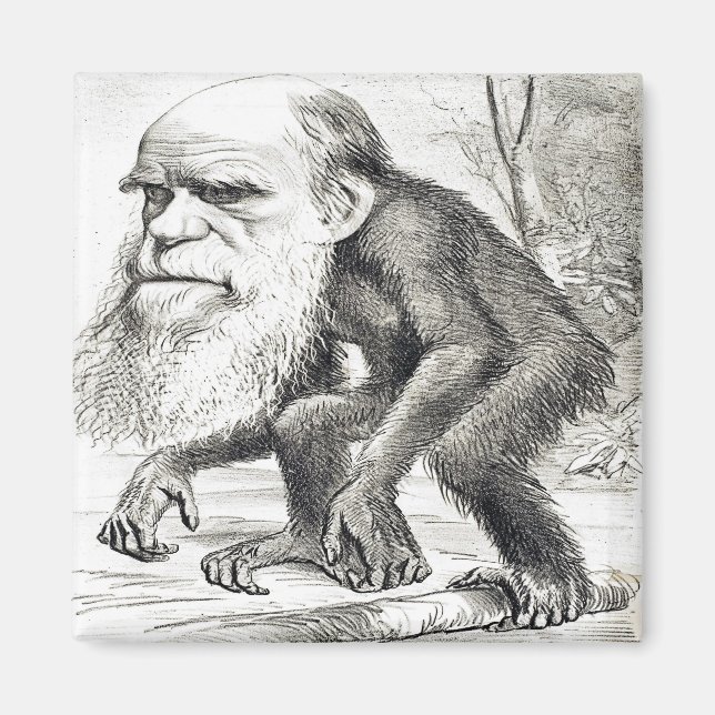 Editorial Cartoon Of Charles Darwin 1871 Magnet (Front)