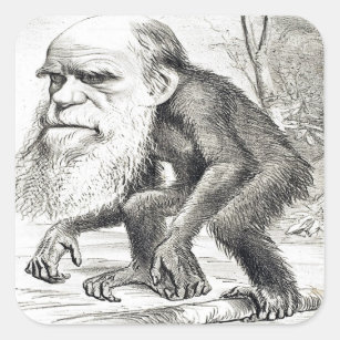 Editorial Cartoon Of Charles Darwin 1871 Square Sticker