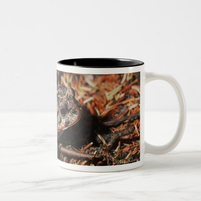 edmonton, alberta, canada 3 Two-Tone coffee mug (Right)