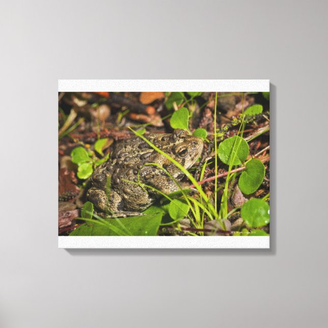 edmonton, alberta, canada canvas print (Front)