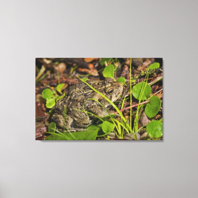 edmonton, alberta, canada canvas print (Front)