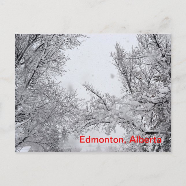 Edmonton, Alberta Winter Post card (Front)