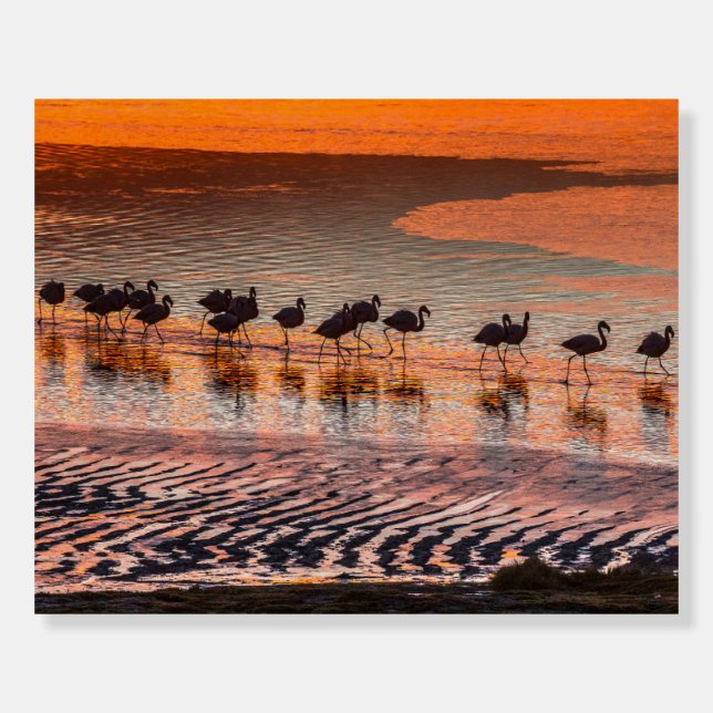 Eduardo Abaroa Andean Fauna National Reserve Foam Board (Front)