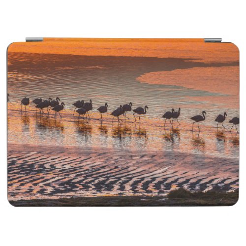 Eduardo Abaroa Andean Fauna National Reserve iPad Air Cover