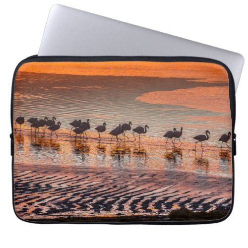 Eduardo Abaroa Andean Fauna National Reserve Laptop Sleeve