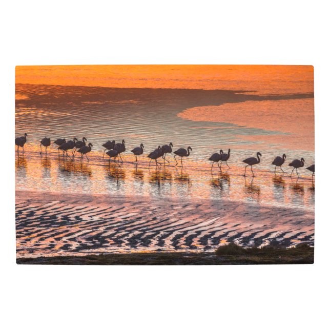 Eduardo Abaroa Andean Fauna National Reserve Metal Print (Front)