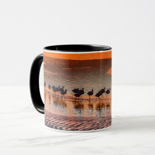 Eduardo Abaroa Andean Fauna National Reserve Mug