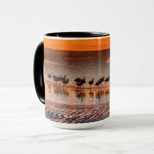 Eduardo Abaroa Andean Fauna National Reserve Mug