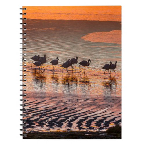 Eduardo Abaroa Andean Fauna National Reserve Notebook