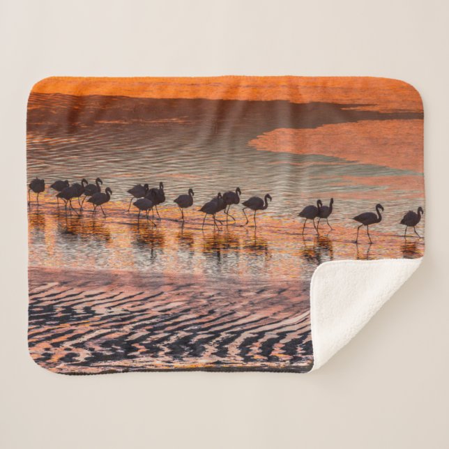 Eduardo Abaroa Andean Fauna National Reserve Sherpa Blanket (Front (Horizontal))