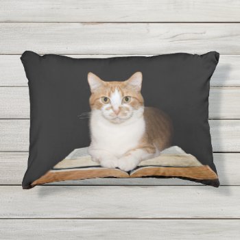 Educated Reading Tabby Kitty Cat Outdoor Pillow by deemac1 at Zazzle