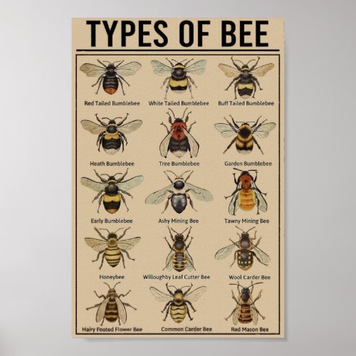 Educational bee vintage poster