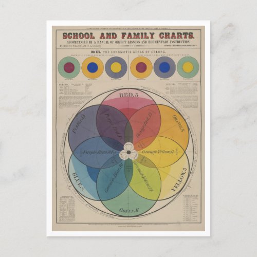 Educational Color Theory ChartPoster Postcard