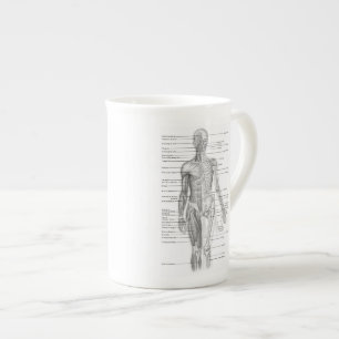 Educational Human Anatomy Chart Bone China Mug