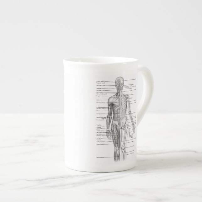 Educational Human Anatomy Chart Bone China Mug (Front Right)