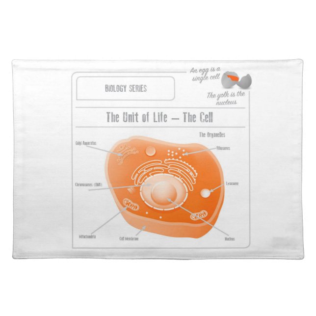 EduPaper Products The Cell Cloth Placemat (Front)