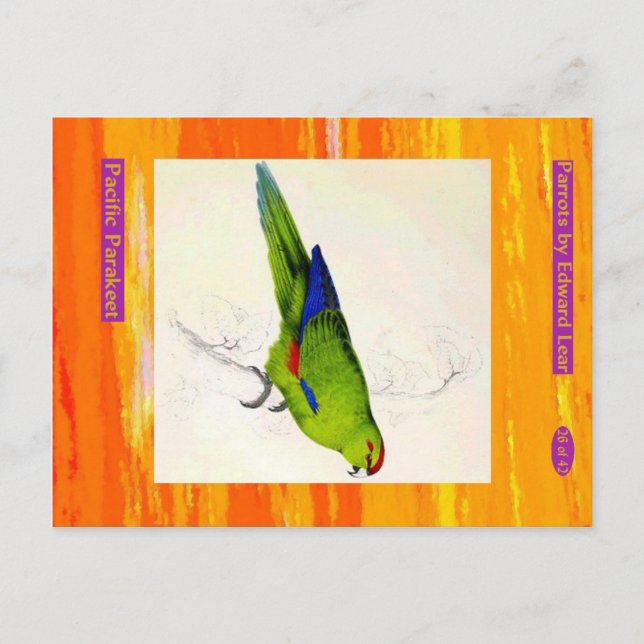Edward Lear. Pacific Parakeet. Postcard (Front)