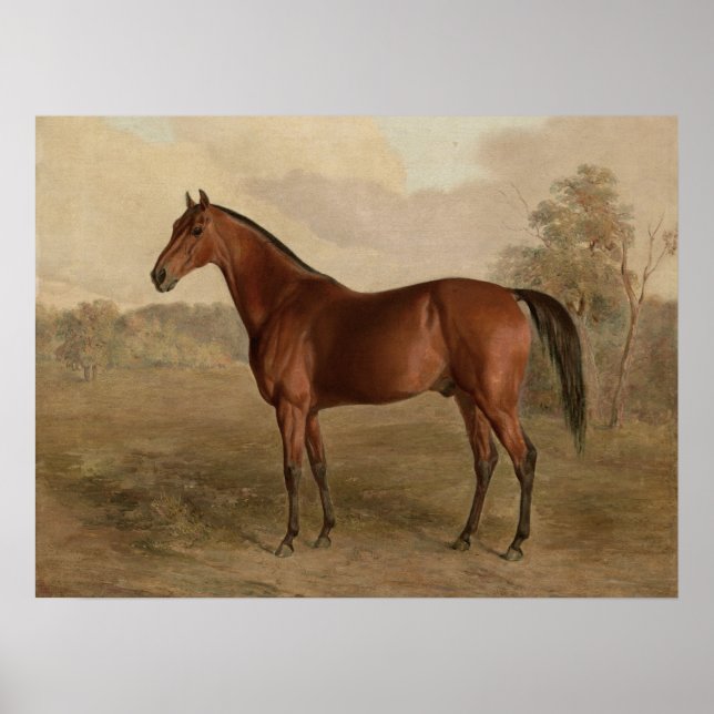 Edward Troye American Horse Kentucky Woodpecker Poster (Front)