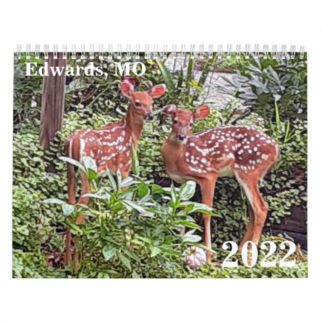 Edwards, MO 2022 Calendar (Cover)