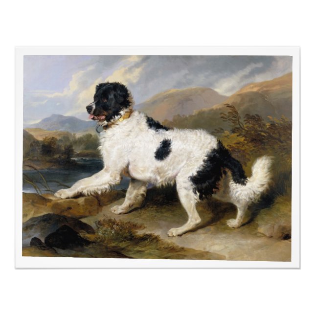 Edwin Henry Landseer Lion A Newfoundland Dog Photo Print (Front)