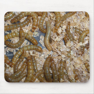 Eeewww... - Mousepad