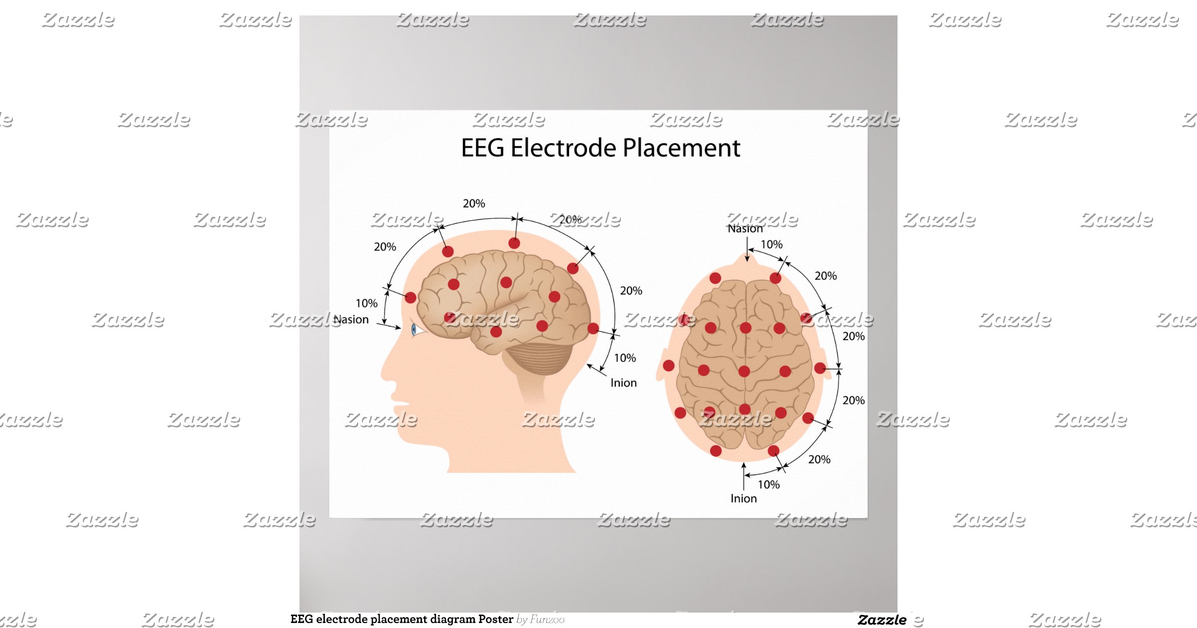 eeg_electrode_placement_diagram_poster ...