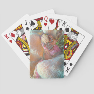 Eel Bicycle Poker Cards