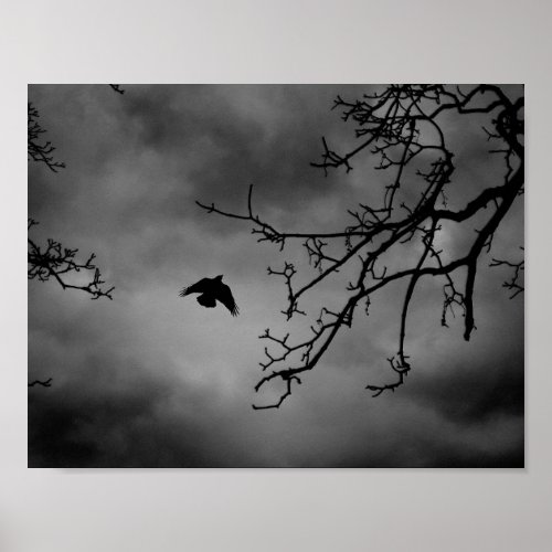 Eerie Bird in Flight Poster
