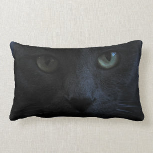 cat lumbar pillow