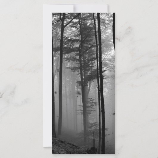 EERIE FOREST TREES LEAVES B&W (Front)