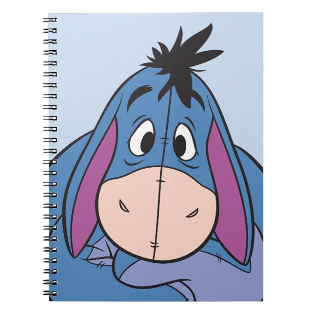 Eeyore 10 notebook (Front)