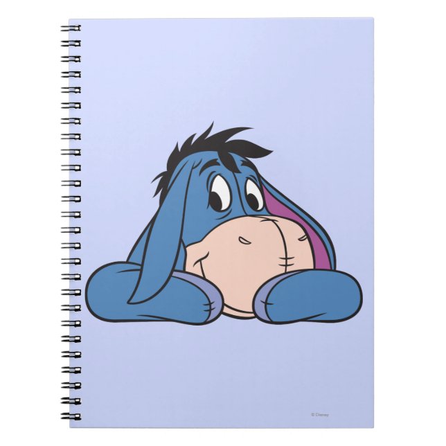 Eeyore 3 notebook (Front)