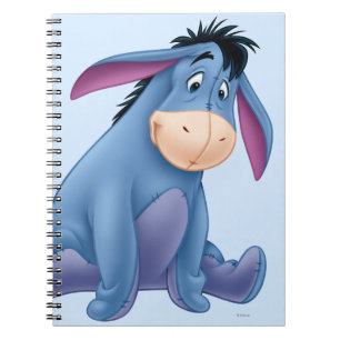 Eeyore 4 notebook