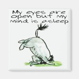 Eeyore funny quote gift magnet