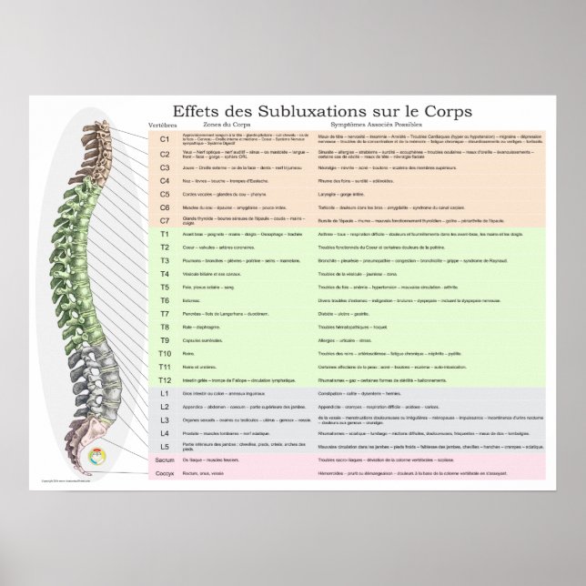 Effects of Spinal Subluxation in French Poster (Front)
