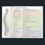 Effects of Spinal Subluxation Tear Off Notepad<br><div class="desc">Patient handout. The chiropractic tear off notepad list the effects of spinal subluxation on body areas and possible symptoms associated.</div>