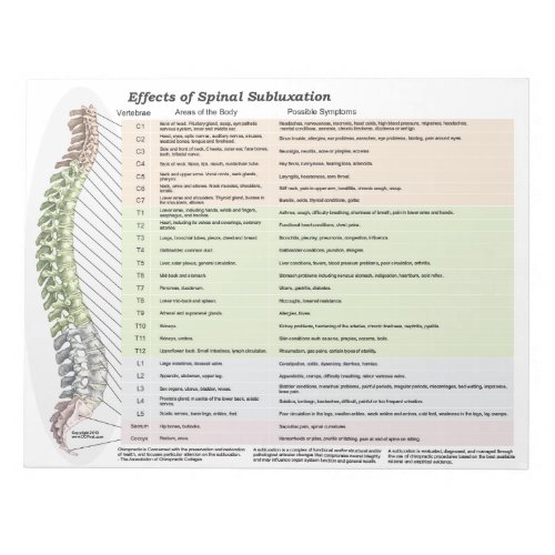 Effects of Spinal Subluxation Tear Off Notepad